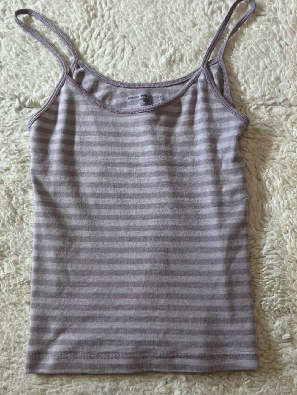 BNWOT Brandy Melville Purple Striped Skylar Tank Top